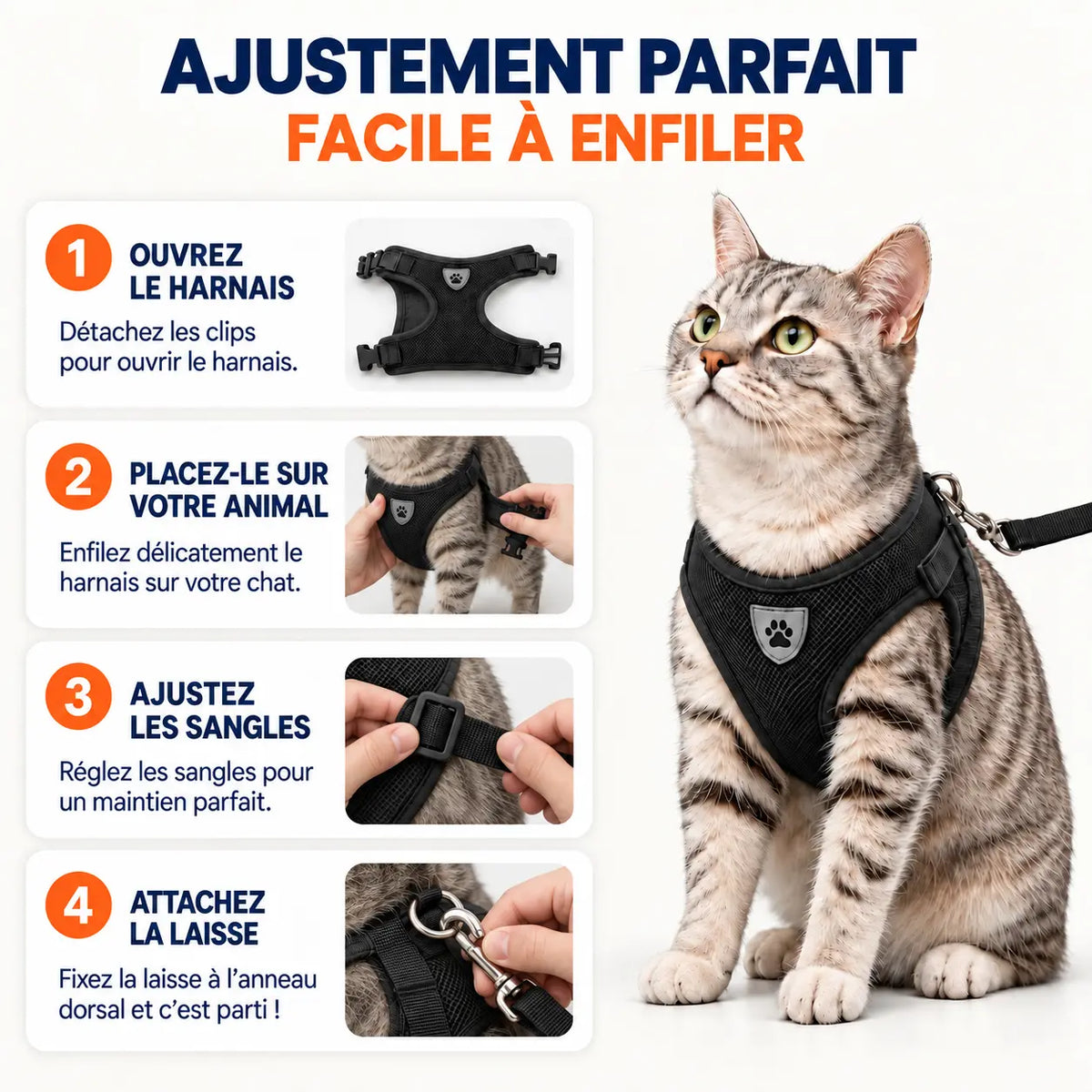 Harnais pour Chat
