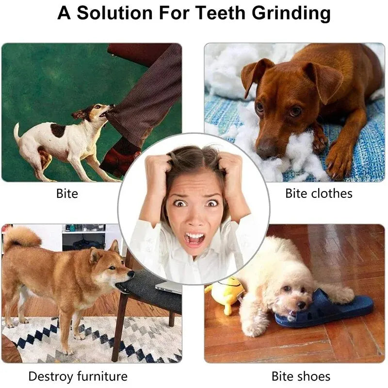 Balle Distributrice pour Chien