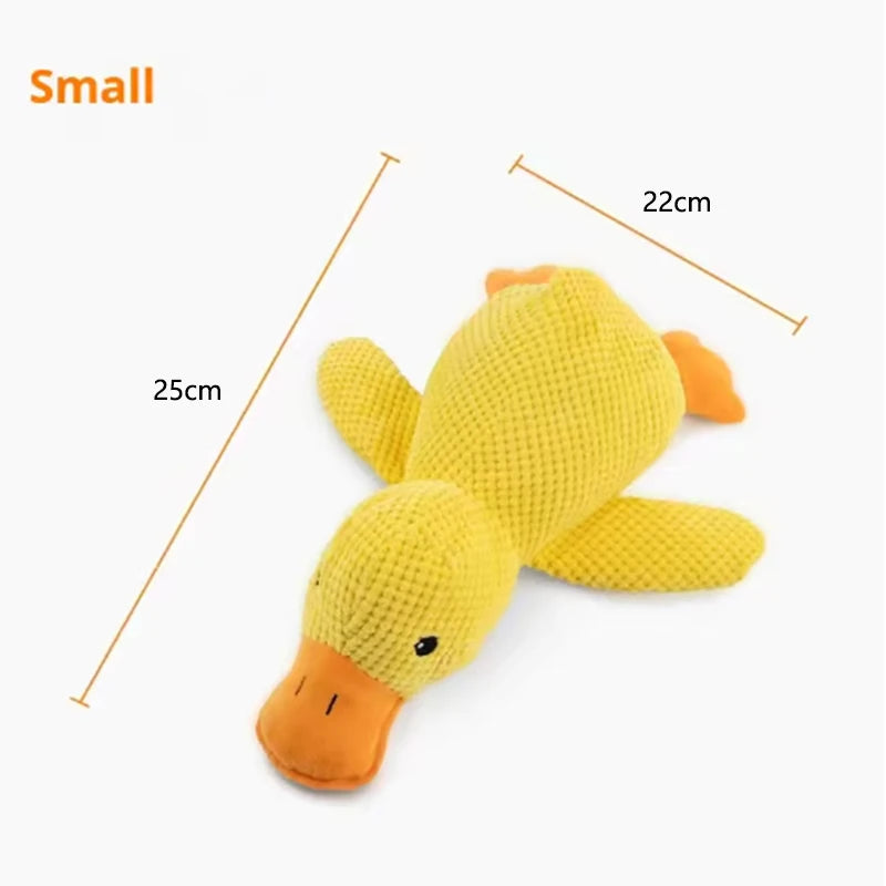 Peluche Canard pour Chien