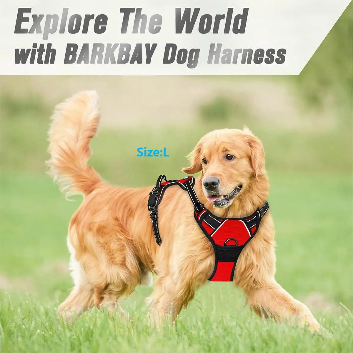 Harnais Anti-Traction pour Grand Chien
