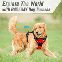 Harnais Anti-Traction pour Grand Chien