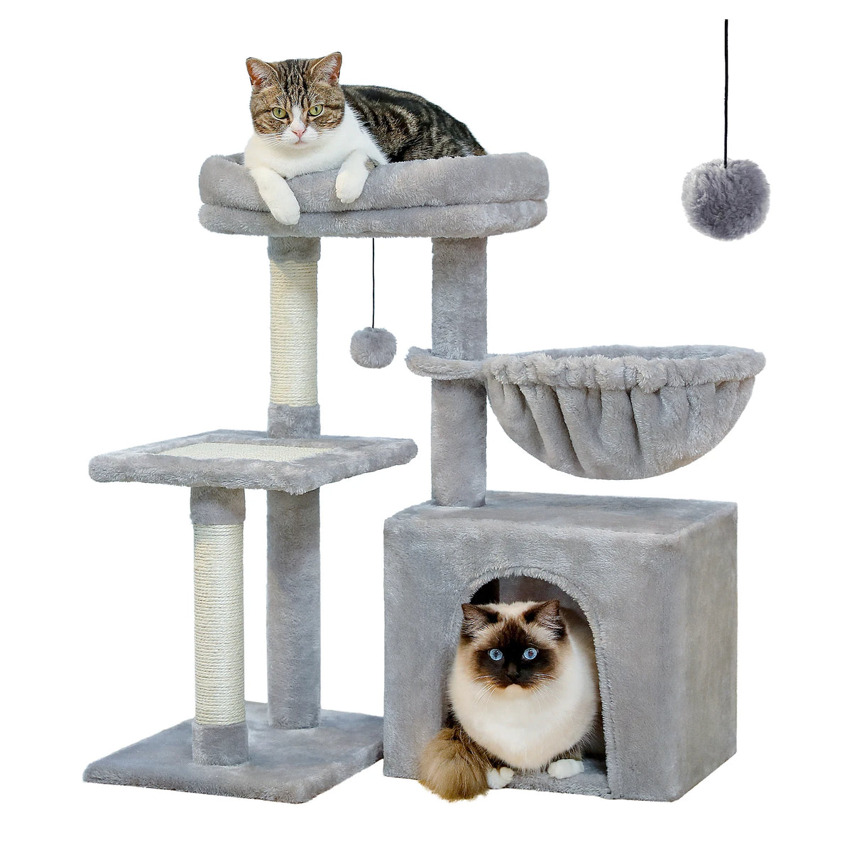 Arbre à Chat d'Intérieur