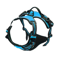 Harnais Anti-Traction pour Grand Chien