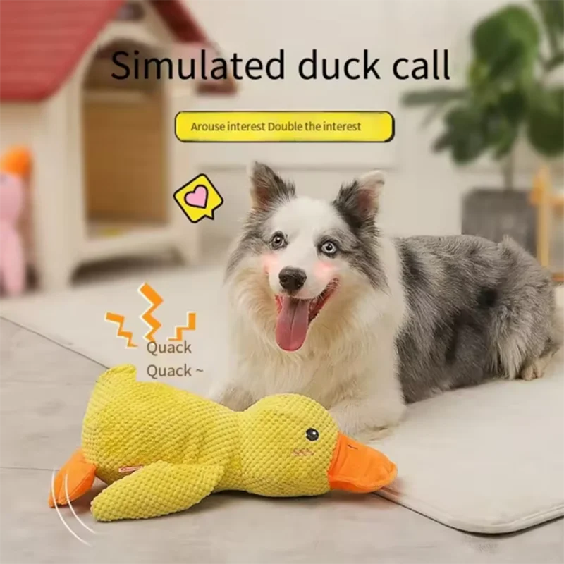 Peluche Canard pour Chien