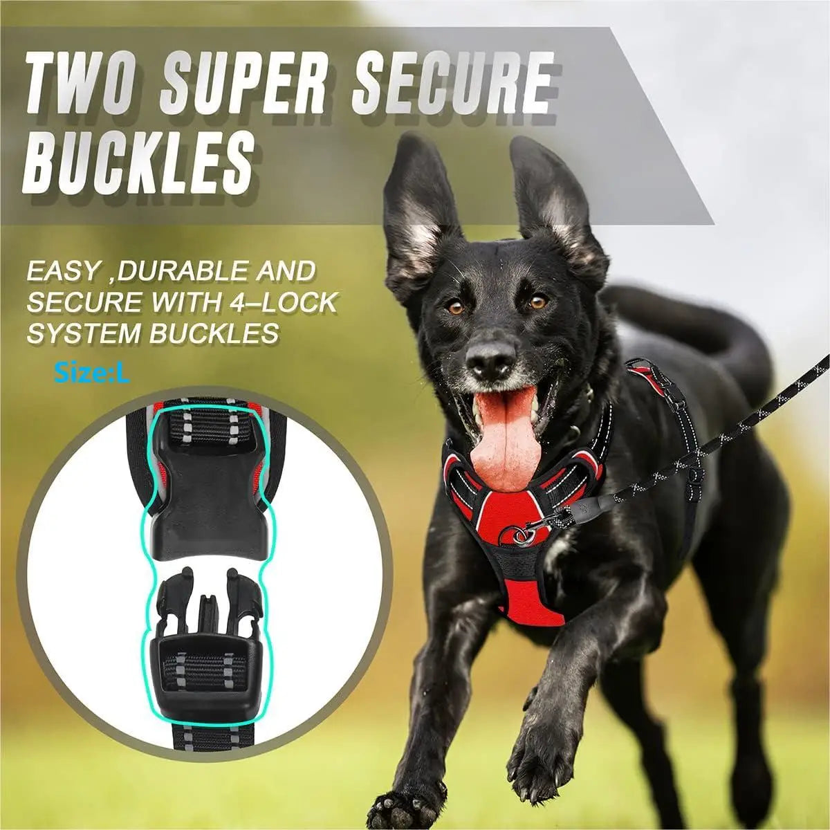 Harnais Anti-Traction pour Grand Chien