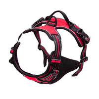 Harnais Anti-Traction pour Grand Chien
