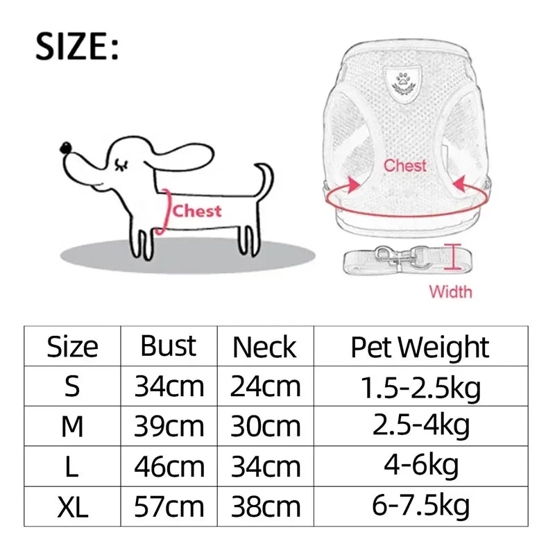 Harnais & Laisse pour Chat & Petit Chien
