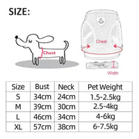Harnais & Laisse pour Chat & Petit Chien