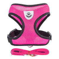 Harnais & Laisse pour Chat & Petit Chien