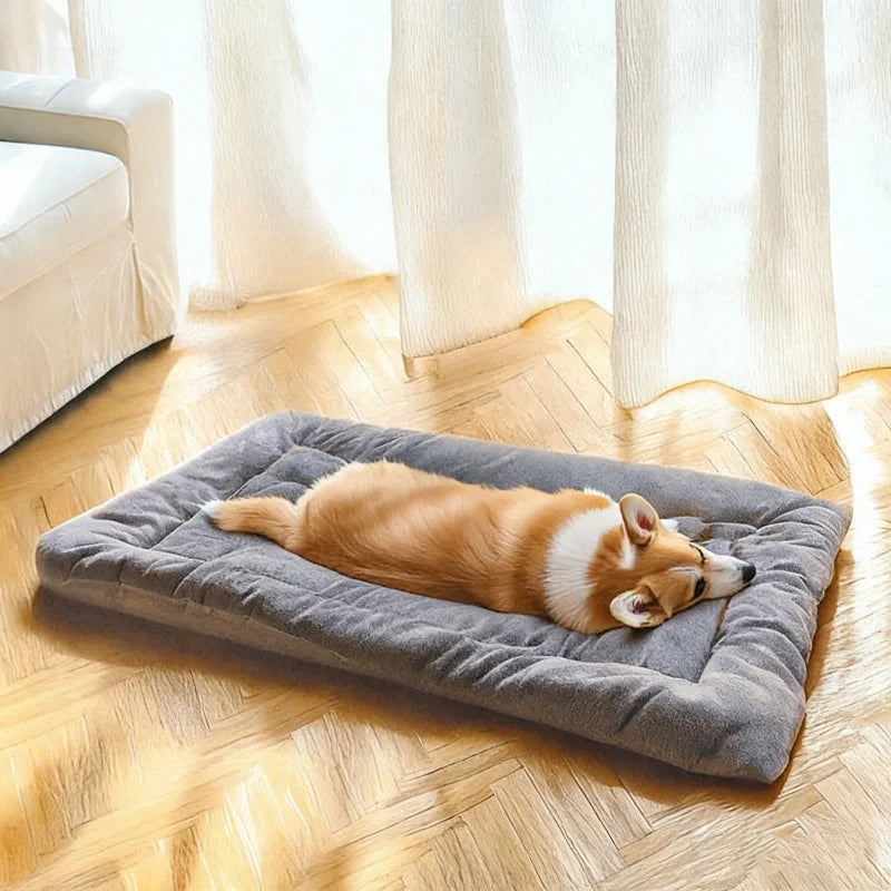 Grand Coussin Matelas pour Chien