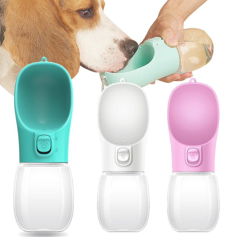 Gourde Portable pour Chien & Chat