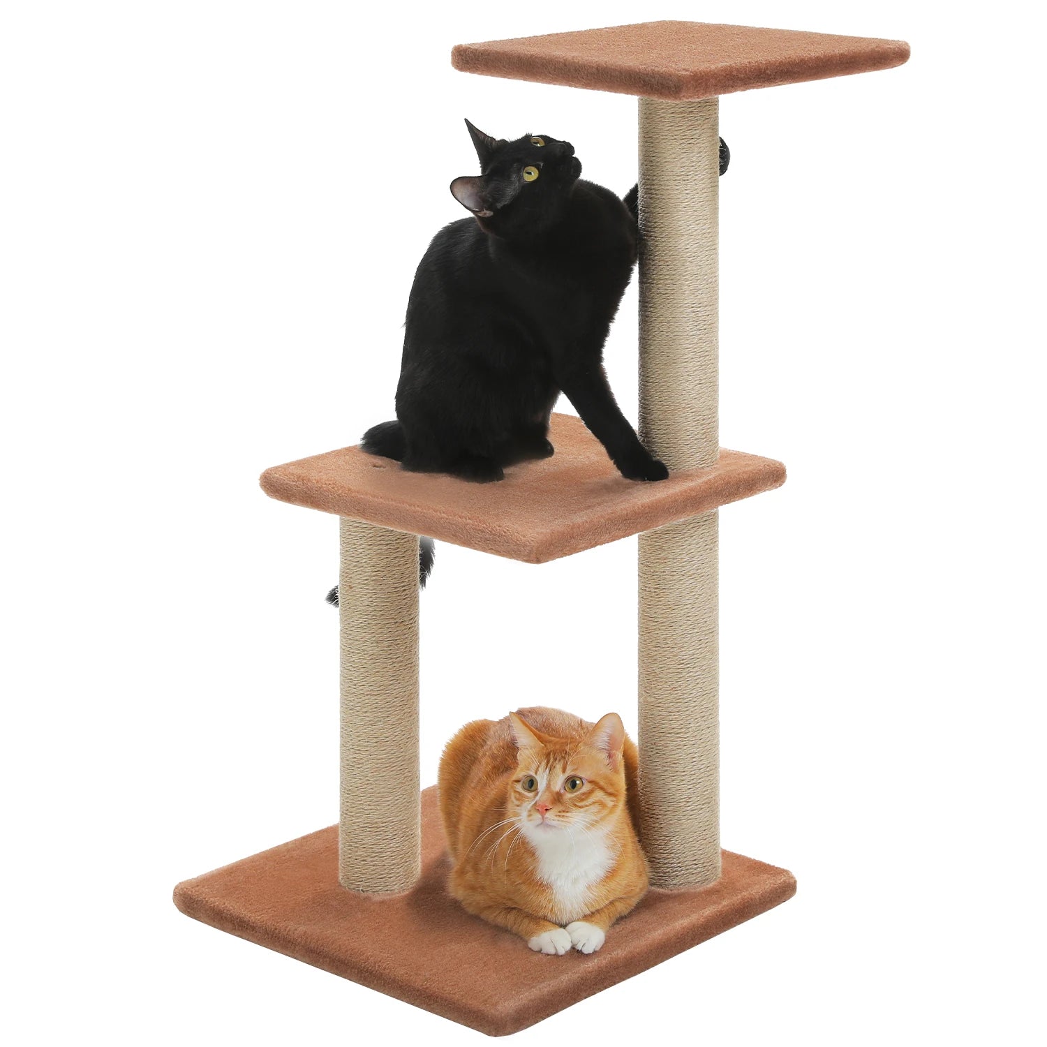 Arbre à Chat d'Intérieur