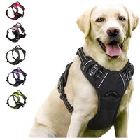 Harnais Anti-Traction pour Grand Chien