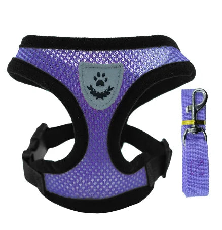 Harnais & Laisse pour Chat & Petit Chien