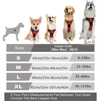 Harnais Anti-Traction pour Grand Chien