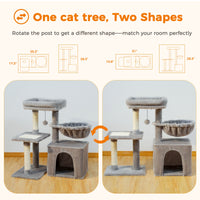 Arbre à Chat d'Intérieur