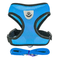 Harnais & Laisse pour Chat & Petit Chien