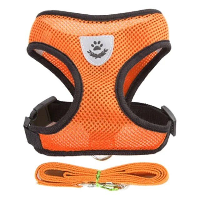 Harnais & Laisse pour Chat & Petit Chien