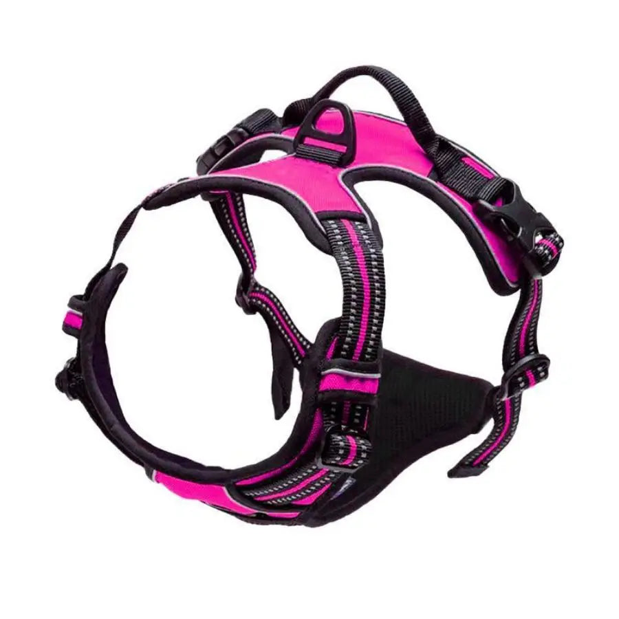 Harnais Anti-Traction pour Grand Chien