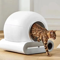Litière Automatique Connectée pour Chat