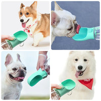 Gourde Portable pour Chien & Chat