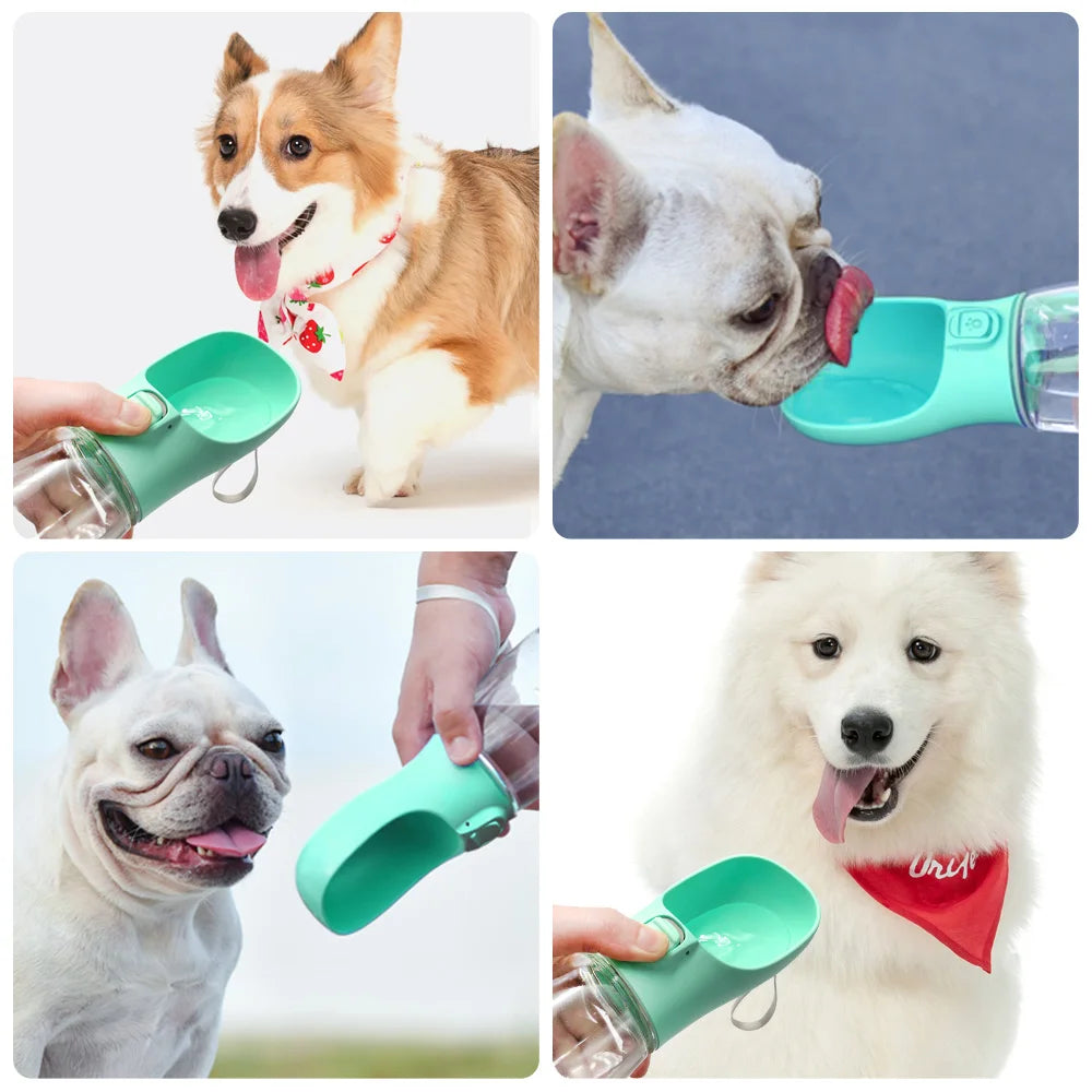 Gourde Portable pour Chien & Chat