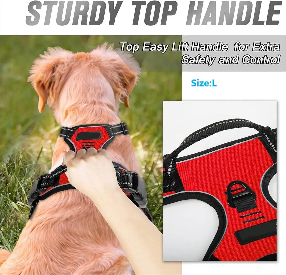 Harnais Anti-Traction pour Grand Chien