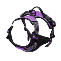 Harnais Anti-Traction pour Grand Chien