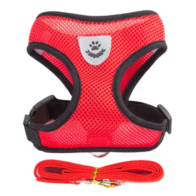 Harnais & Laisse pour Chat & Petit Chien