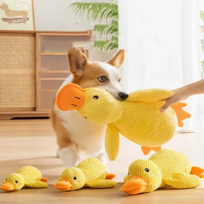 Peluche Canard pour Chien