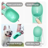Gourde Portable pour Chien & Chat