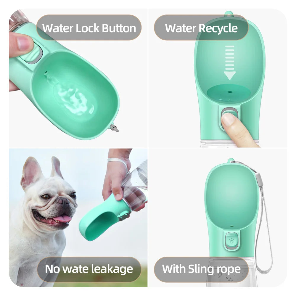 Gourde Portable pour Chien & Chat