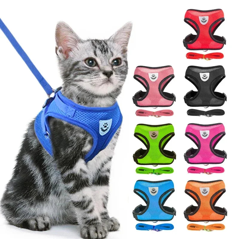 Harnais & Laisse pour Chat & Petit Chien