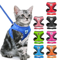Harnais & Laisse pour Chat & Petit Chien