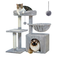 Arbre à Chat d'Intérieur