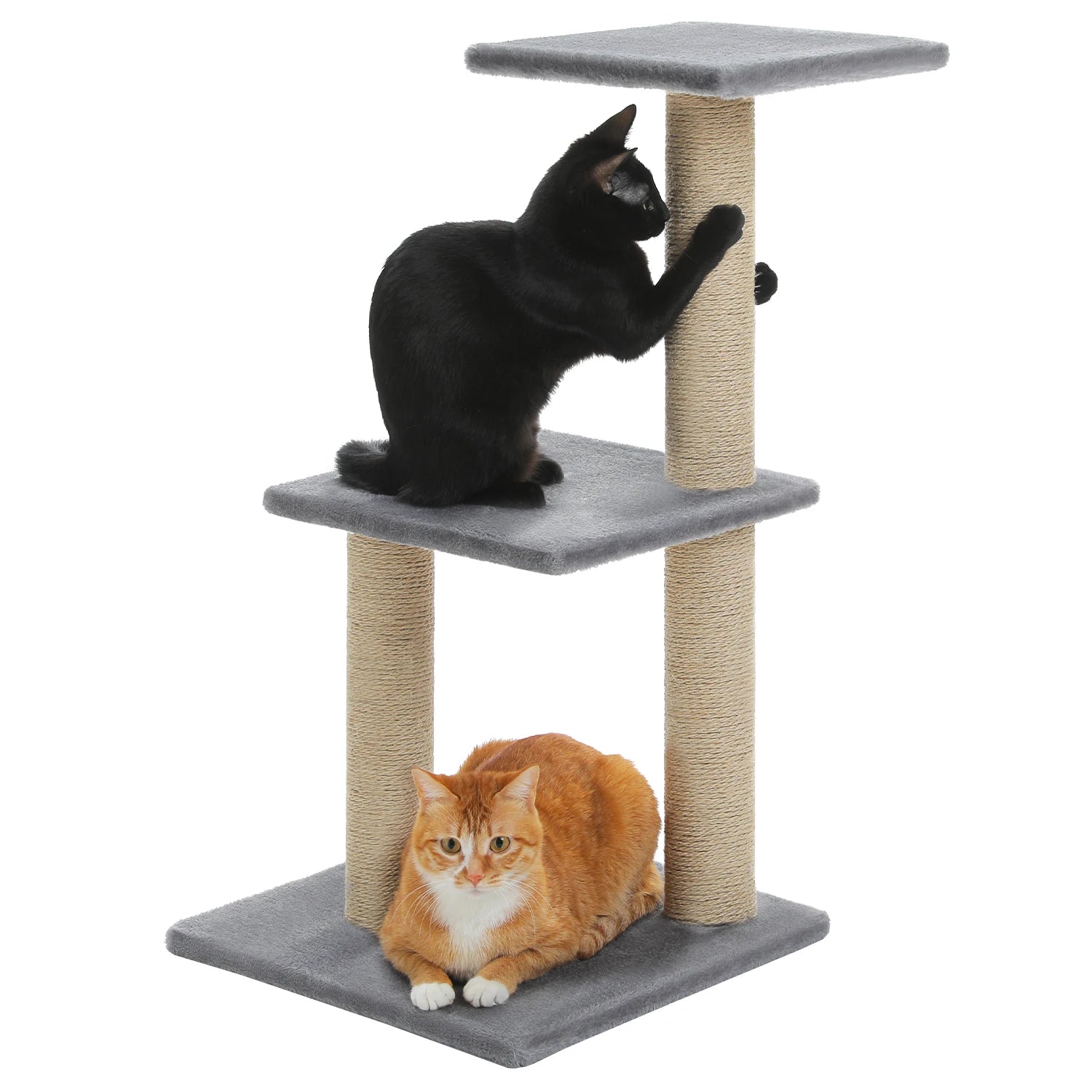Arbre à Chat d'Intérieur