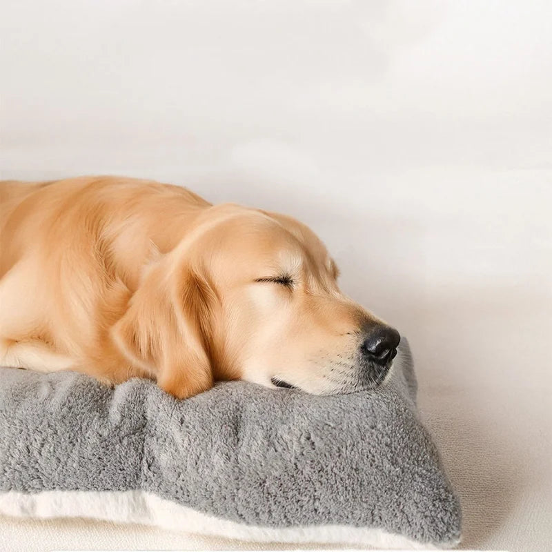 Grand Coussin Matelas pour Chien
