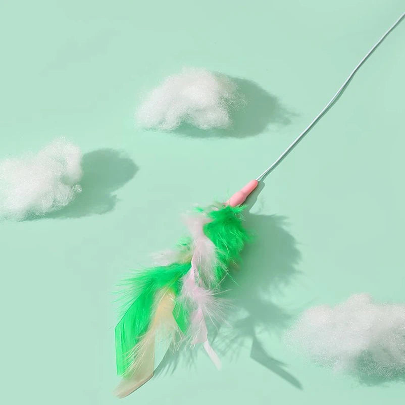 Canne à Plumes Interactive pour Chat