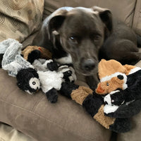 Jouet pour Chien Sans Rembourrage