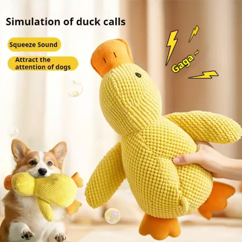 Peluche Canard pour Chien
