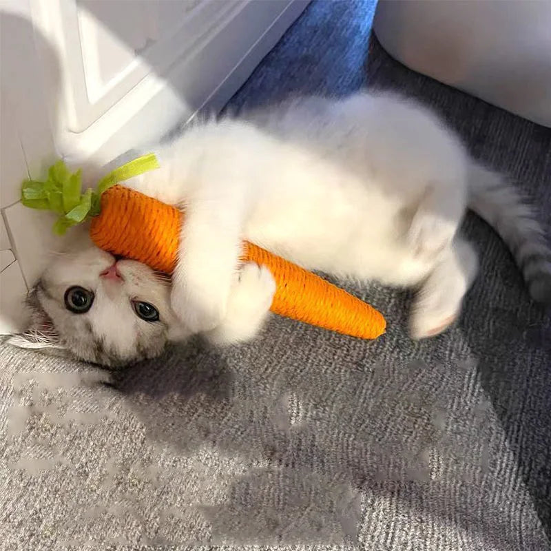 Jouet Carotte pour Chat