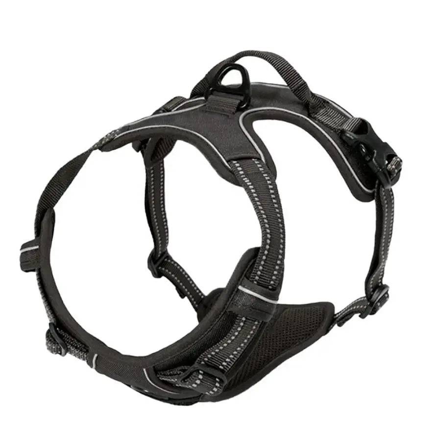 Harnais Anti-Traction pour Grand Chien