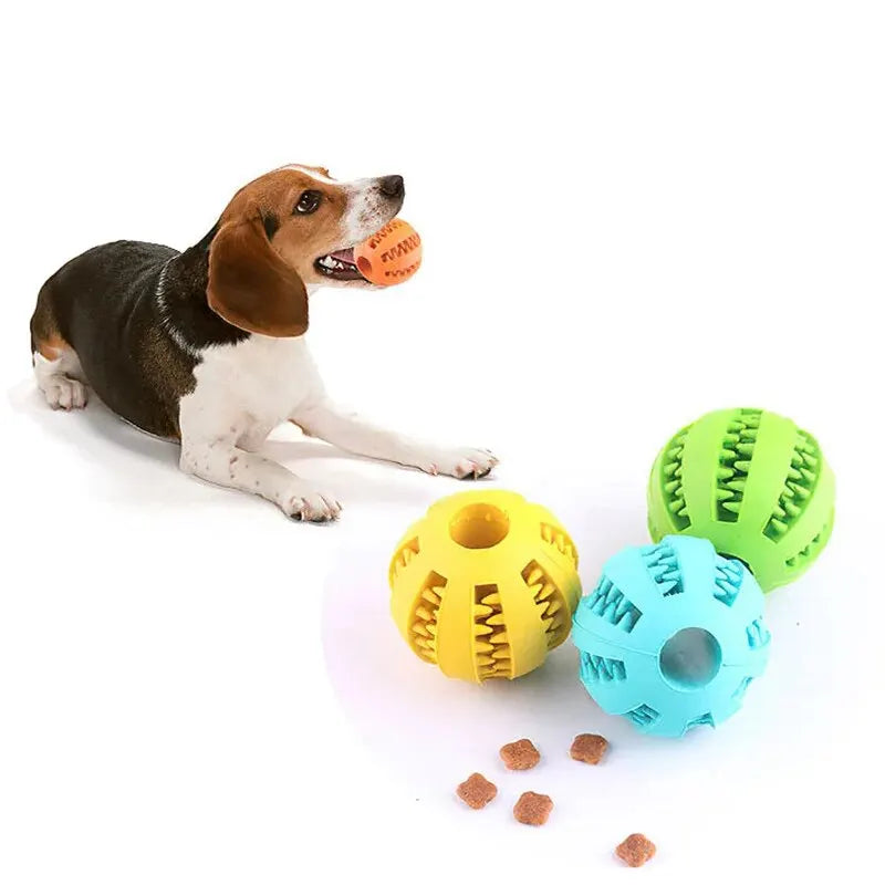 Balle Distributrice pour Chien