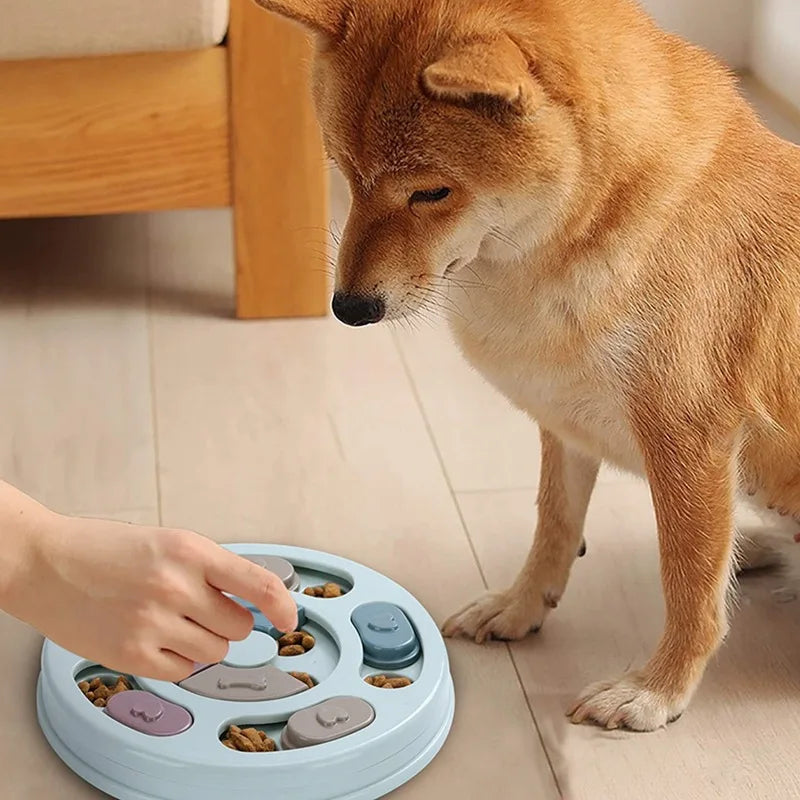 Gamelle Interactive Anti-Glouton pour Chien