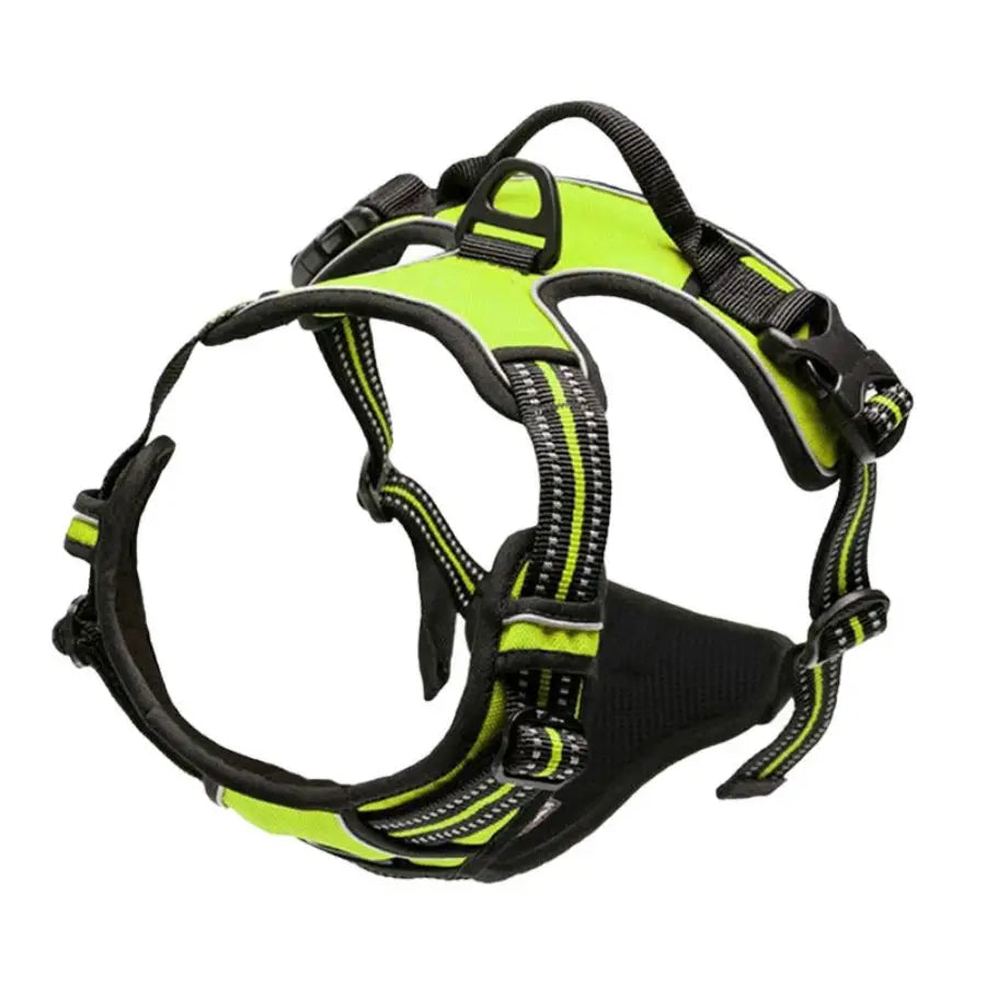 Harnais Anti-Traction pour Grand Chien