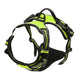 Harnais Anti-Traction pour Grand Chien
