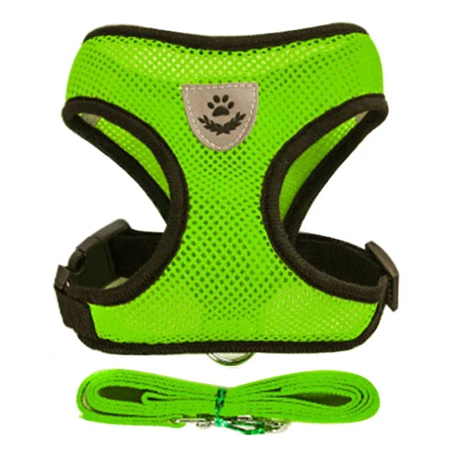 Harnais & Laisse pour Chat & Petit Chien