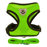 Harnais & Laisse pour Chat & Petit Chien
