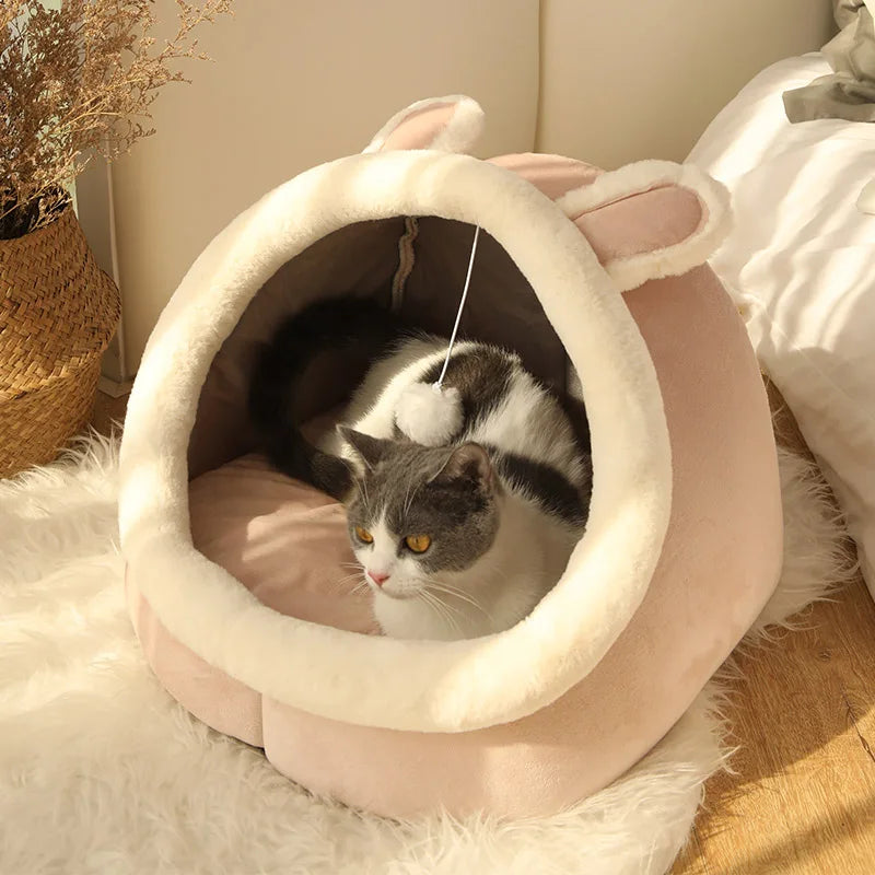 Tente Niche pour Chat & Petit Chien