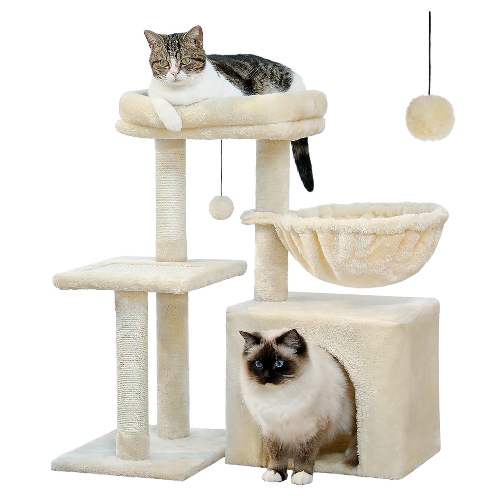Arbre à Chat d'Intérieur